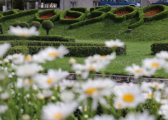 Complex Freya S Obzor